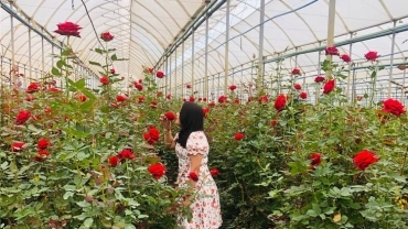 Circuito Tur&iacute;stico - Fazenda Santo Expedito